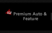 2. Premium Auto & Feature