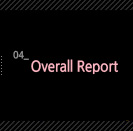 4. Overall Report