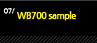 7.WB700 sample 