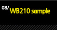 8.WB210 sample