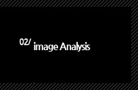 2.image Analysis